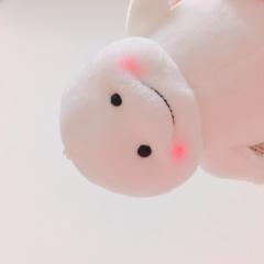 RIHO🐰🚀