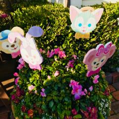 ゆきのトーク