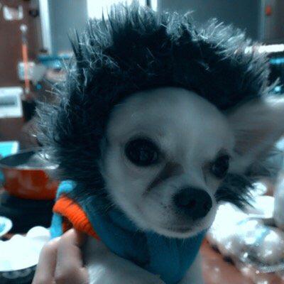 ぷ~ぅぷ