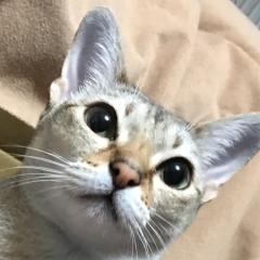 まさ@まよね〜ずのトーク