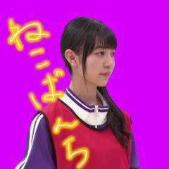 ねこぱんち◢