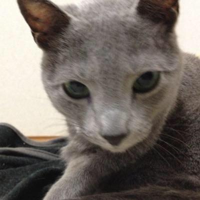 びぃー