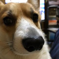 ハナお兄ちゃん＠たかあきのトーク