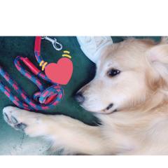 ともちゃん