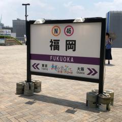 ほーりー