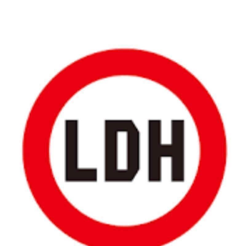 LDH Talk