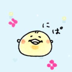 まゆこ