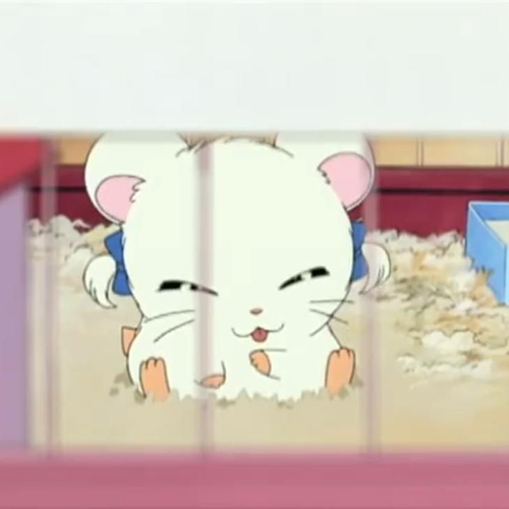 りぼんちゃん