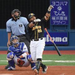 智也