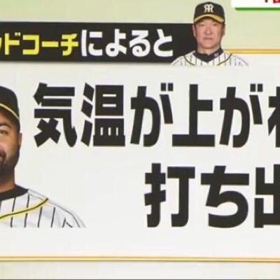 トラ🐯トーク！