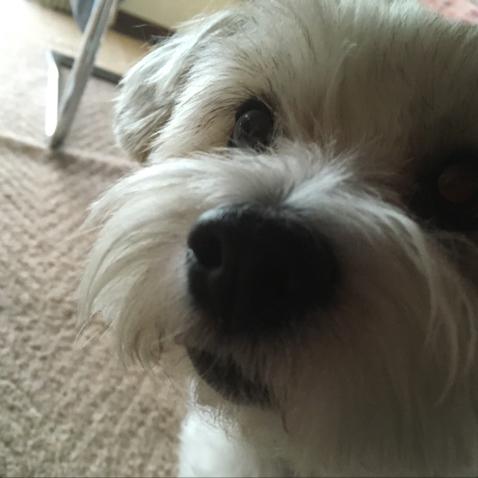 樺恋のわちゃわちゃトーク