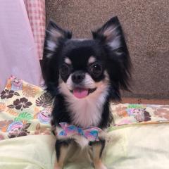 ななまる
