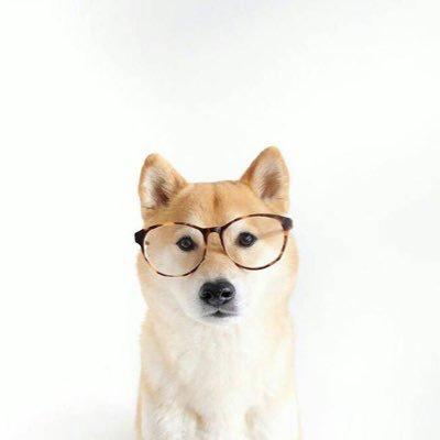 joey0716のトーク