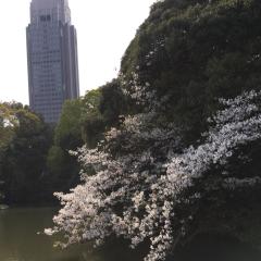 ミミロルのトーク