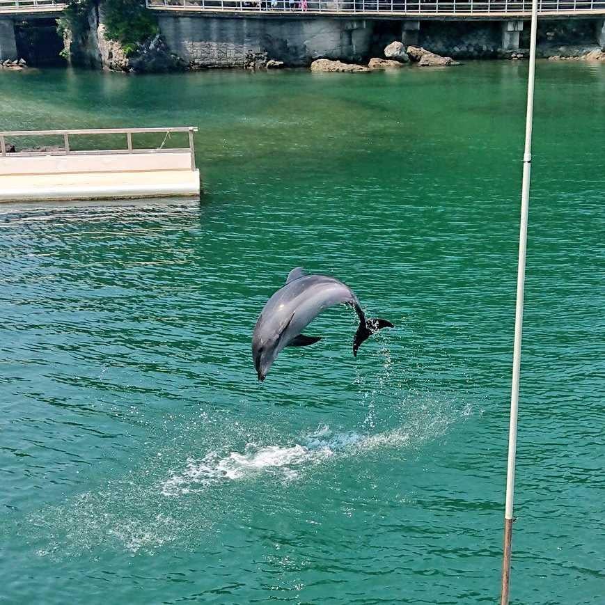透明な空気椅子のトーク
