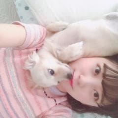 ミャニュ(˙ᵕ˙⑅のトーク