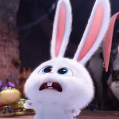 ずらーのトーク