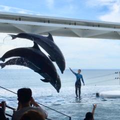 しゅんやのトーク