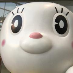 もっち