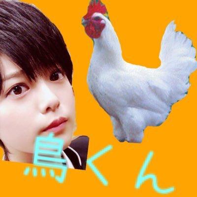チョロオタ系鳥くん🐓◢͟│⁴⁶