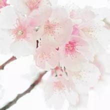 セリヌンティウスの部屋🐻