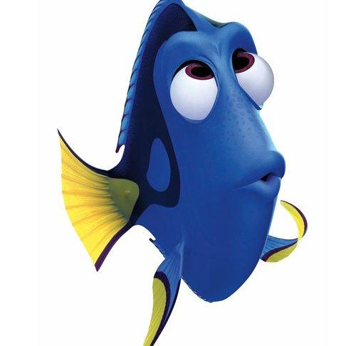 さかなのトーク