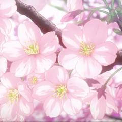 日本語を勉強します！頑張りましょう！