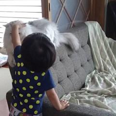 こころ