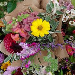 手越祐也とトーク