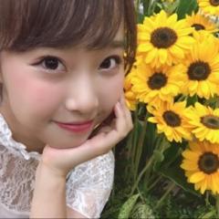 毬藻