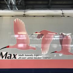 やのっち