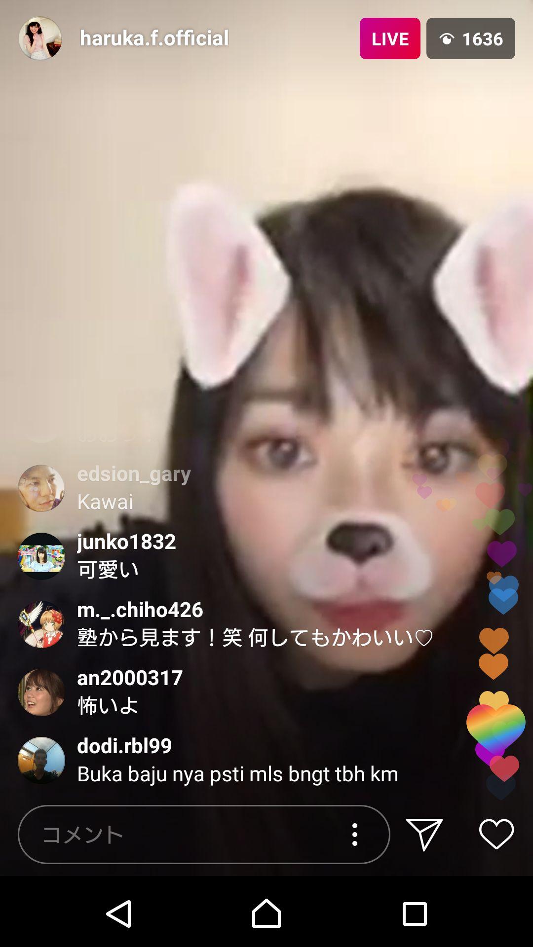 投稿画像