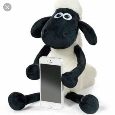 ゆーがのトーク