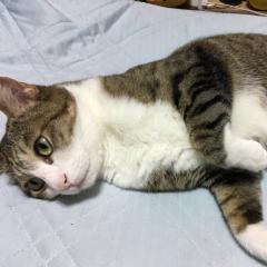 京介