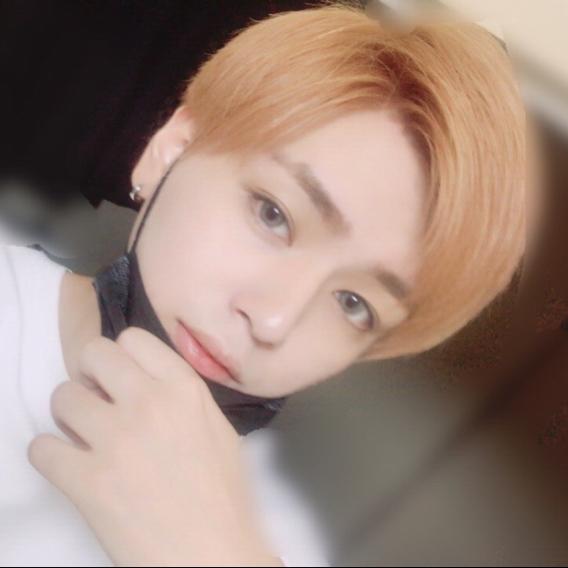 いちかわたいが