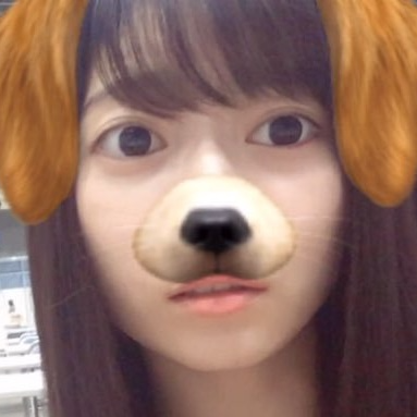 イセ茶のトークです