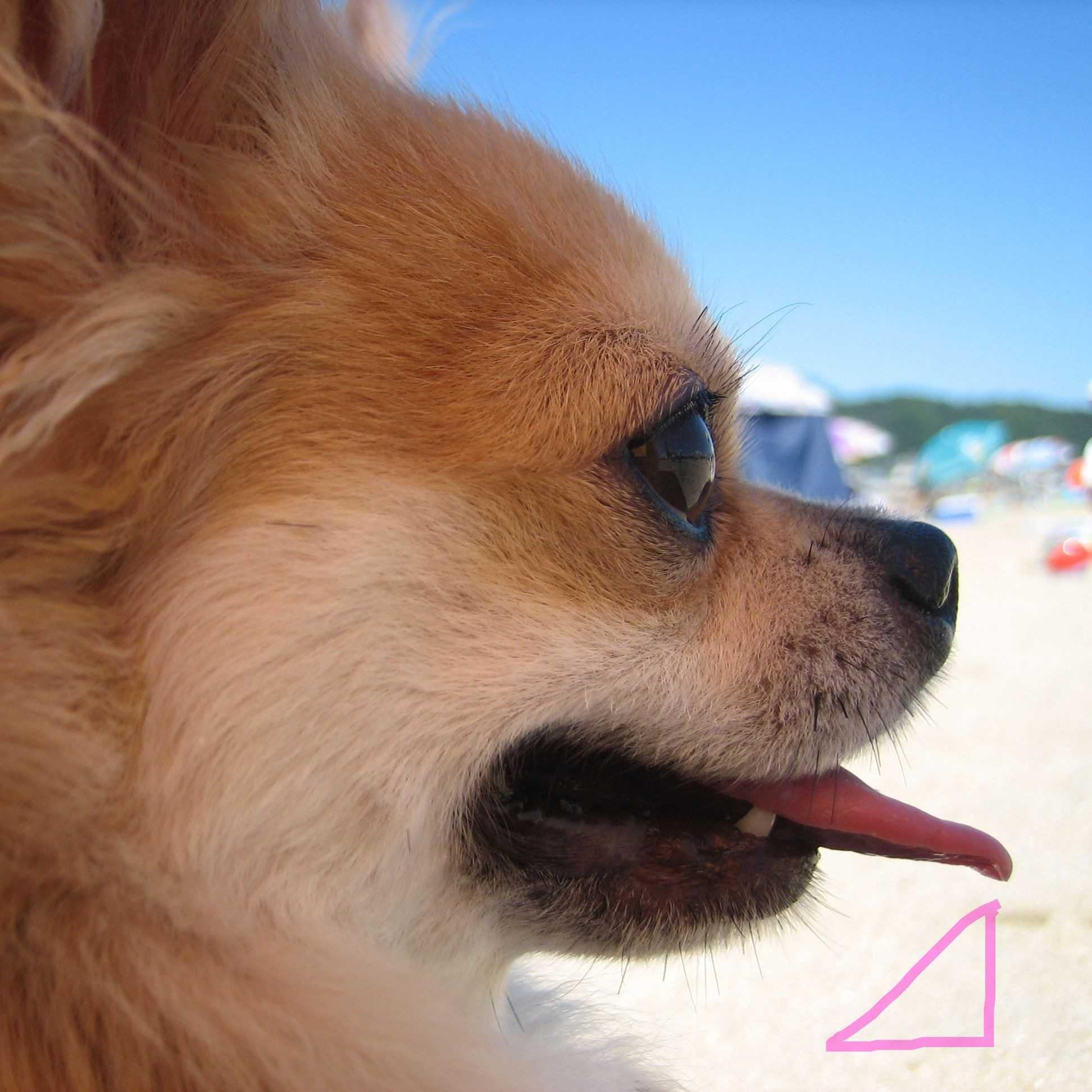 JUNK⊿⁴⁶ ₇₅₅