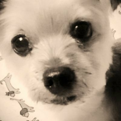 ☆ユ〜ジ♪🐈のトーク