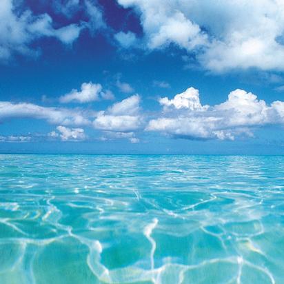 武尊（たける）