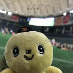 コバタク
