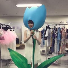 み ゆ ぴ ょ ん のトーク