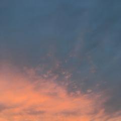 カルミンのトーク