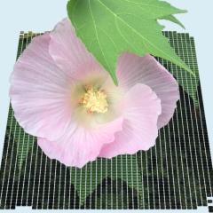 好きな写真を3D加工します