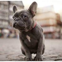 이승수のトーク