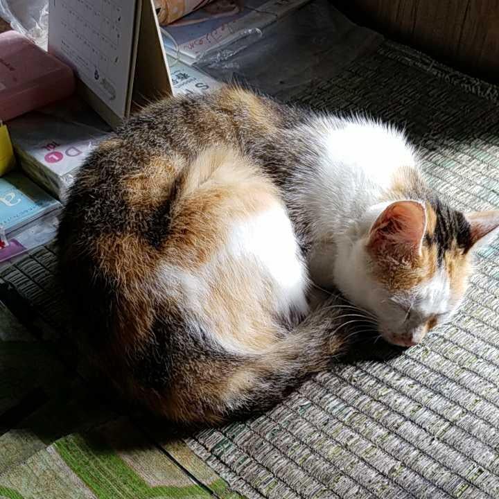 千葉浩二