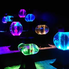 ユッキーババロアのトーク