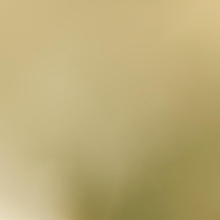 飛鳥さん 七瀬さん推し