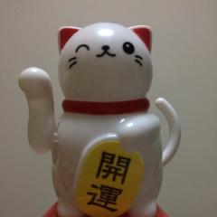 ねこ助さん