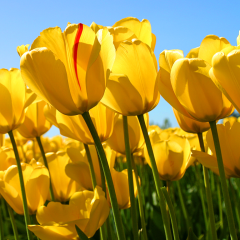 trtr203040のトーク