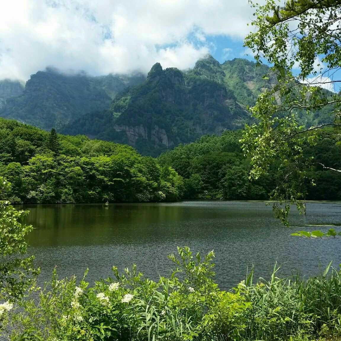 高橋拓未